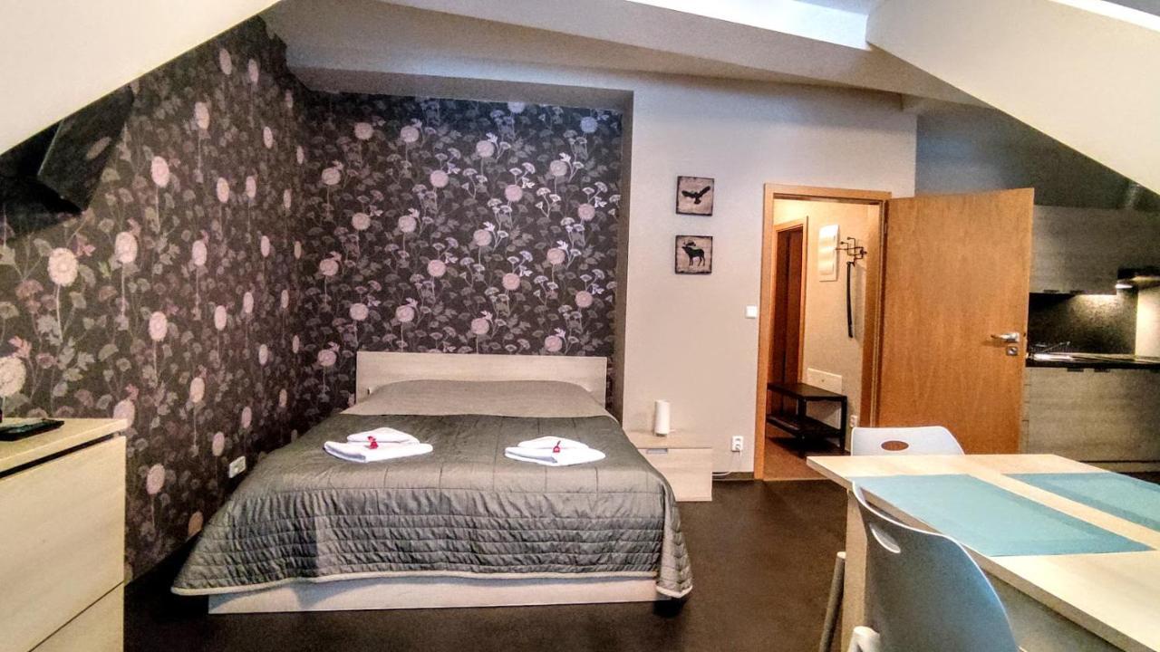شقة هاراشوف  في Horsky Apartman 1+Kk V Relaxacnim Prostredi Anenskeho Udoli المظهر الخارجي الصورة