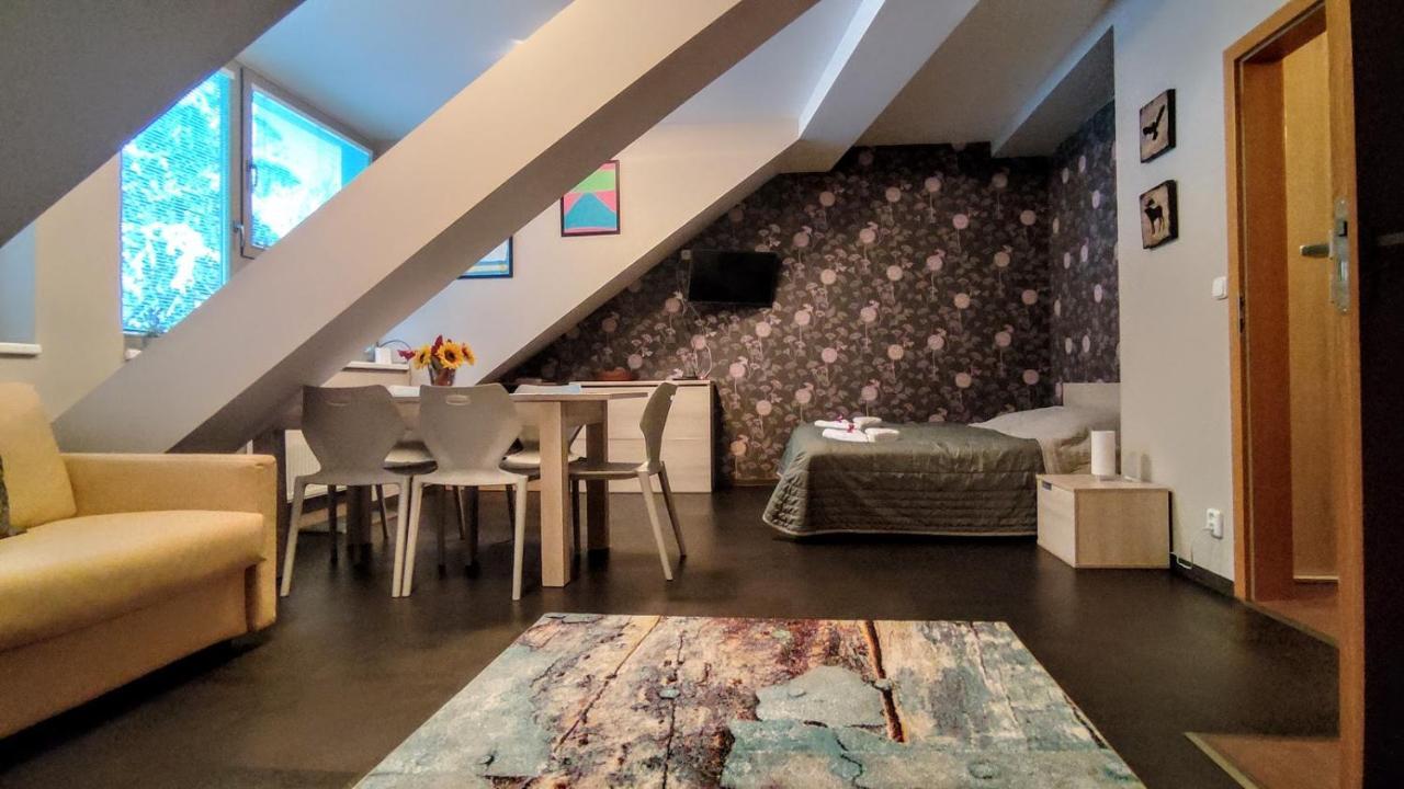 شقة هاراشوف  في Horsky Apartman 1+Kk V Relaxacnim Prostredi Anenskeho Udoli المظهر الخارجي الصورة